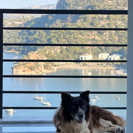 Appartement Serena Luxury Sea View *